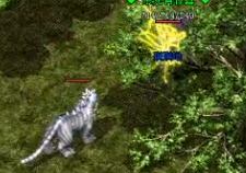 ���¿�����ȼ�������װ����˳���ϸ��������