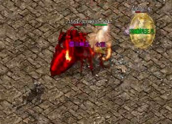 1.95����ǰ��ڸ������ǿ���ʥ����