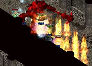 û�вþ���������������