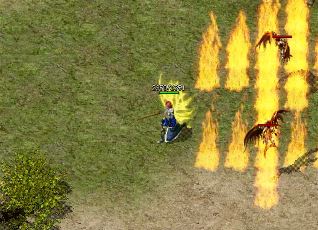 ������ɱ��ֵӦ����������