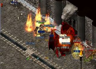 �����������ѡ����ʵ�ְҵ