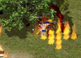 1.85������ô���Ų�ͬ��Ҵ�ɳ�Ϳ�