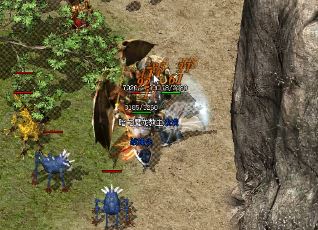 �¿�������վ�һ������ű�Ե��������