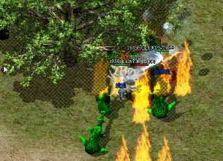 ��Ѫ����˽��ţħ�����ܱ���������ָ��