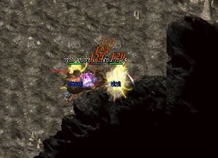 ���Ŵ���˽����Ӣ��Ϊʲô�����ʽ�