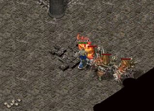 ��ʦ�ڴ����еı�����������η�������?