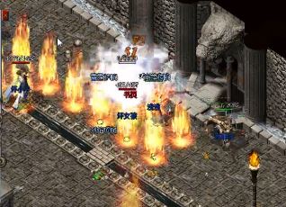 ����˽����ְҵ���Ǿ�������BOSS���ռ�ָ�ϣ�����¶�����