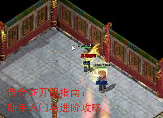 ����SF����ָ�ϣ�������������׹���