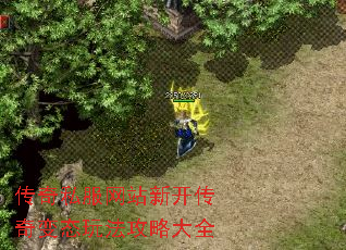 ����˽����վ�¿������̬�淨���Դ�ȫ