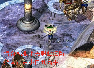 ����˽��ƽ��ְҵ����ָ�ϣ���С�׵�����