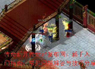 �����¿�����sf����������������ָ�ϡ������������뼼�ɷ���