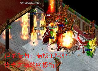 ��Ĺ��嫣����ص�ְҵ����֮�۵��ռ�ָ��