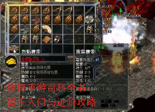 �������ΰٿ�ȫ�飺������������׹���