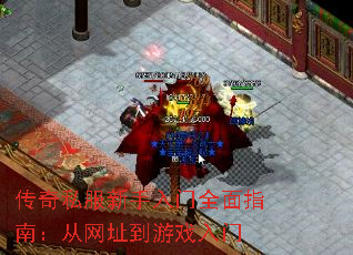 ����˽����������ȫ��ָ�ϣ�����ַ����Ϸ����