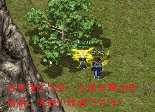 ������ʧ���棺ɳ�����Թ����ؼ�����¹��ԭ˭�����棿