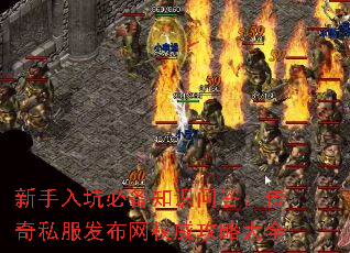 ������ӱر�֪ʶ�ʴ𣺴���˽��������Ȩ�����Դ�ȫ