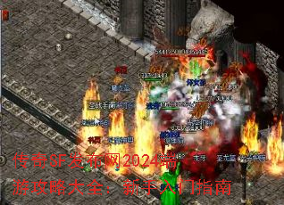 ����SF������2024���ι��Դ�ȫ����������ָ��