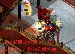 �����·����Դ�ȫ����С�׵������������ָ��