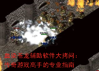 ѪȾ���������������ʣ�������Ϸ���ֵ�רҵָ��