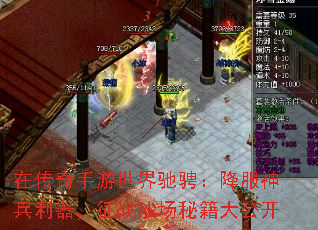 �ڴ�����������۳ң����������������սɳ���ؼ��󹫿�