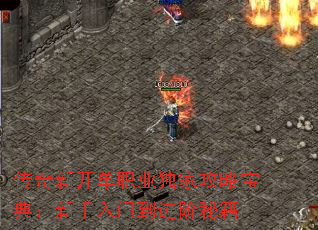 �����¿���ְҵ���ҹ��Ա��䣺�������ŵ������ؼ�