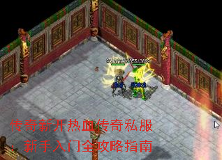 �����¿���Ѫ����˽������������ȫ����ָ��