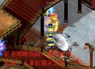 ���ֹ���ָ�ϣ���������˽�������㵽����֮·