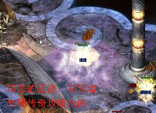 �귨����;����ѧ��ר�����湥��ָ��