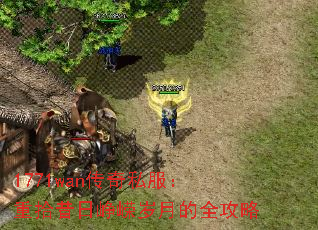 1771wan����˽������ʰ����������µ�ȫ����