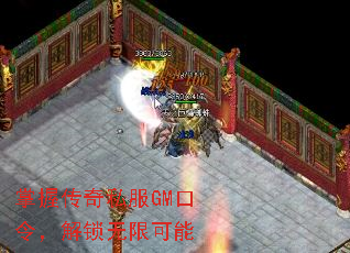 ���մ���˽��GM����������޿���