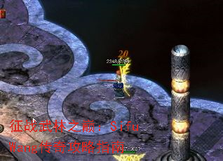 ��ս����֮�ۣ�SifuWang���湥��ָ��