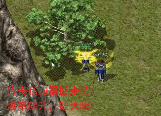 ����˽������Ϯ���������������ʣ�