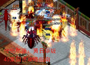 ����˽�������ջ���45�����﹥��ָ��