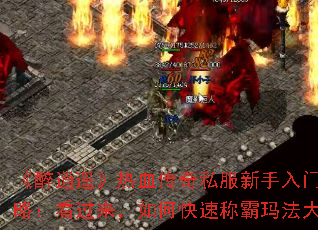 ������ң����Ѫ����˽���������ų�ȼ���ԣ�����������ο��ٳư��귨��½��