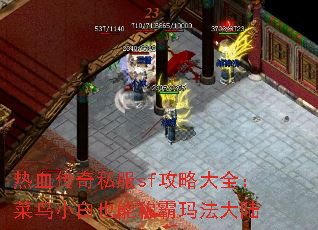 ��Ѫ����˽��sf���Դ�ȫ������С��Ҳ�ܳư��귨��½