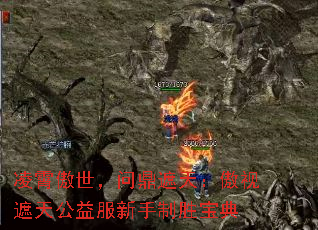 �����������ʶ����죺�������칫���������ʤ����