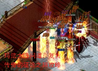 �귨��½�ʵ������Ŵ������;֮·����