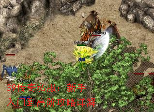 39����˽�����������ŵ��߽׹������