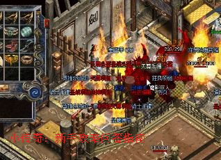 С���棺���ֹ����ʴ�ָ��