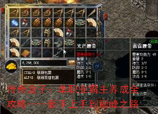 ������ӣ���ְҵ��������ȫ���ԡ����������ֵ��۷�֮·