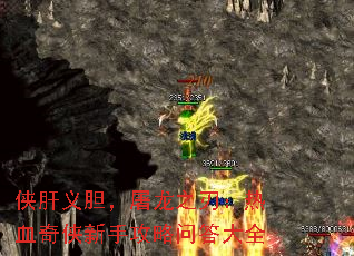 �����嵨������֮�У���Ѫ�������ֹ����ʴ��ȫ