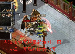 ���˴��濪�����±��ϣ�ְҵѡ�񡢿��ֹ��Դ󹫿�