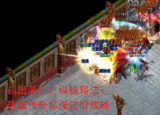 ����é®���ݺ��귨����Ѫ����˽�����׹���