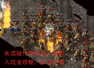 �ϳɰ洫��˽�����������ȫ���ԣ����ֱؿ�