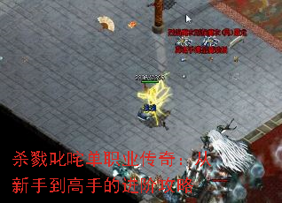 ɱ¾߳�嵥ְҵ���棺�����ֵ����ֵĽ��׹���