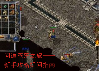 �ʵ���ã֮�á������ֹ�������ָ��