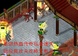 ��ȼ��Ѫ����˽����ʧ�漫�޹��ع��������