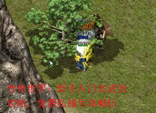 �������磺�������ŵ����׹��ԣ����˽����������