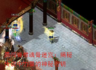 �´���׵����Թ������ش�˵��������������Կ