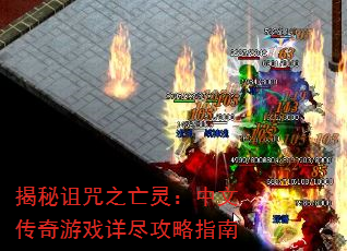 ��������֮���飺���Ĵ�����Ϸ�꾡����ָ��